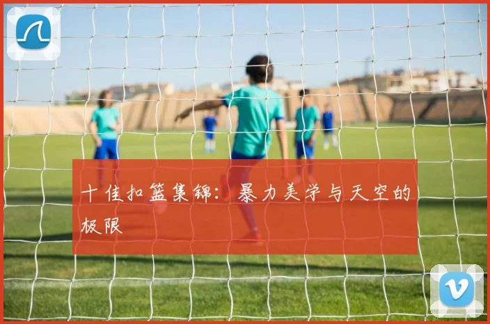 十佳扣篮集锦:暴力美学与天空的极限